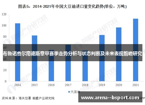 布鲁诺费尔南德斯意甲赛季走势分析与状态判断及未来表现前瞻研究
